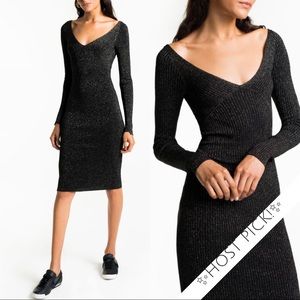 ✨HP!✨ NWT A.L.C. Metallic Dress